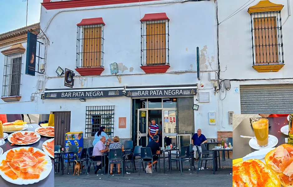 bar tapa negra donde comer en carmona - que ver en carmona